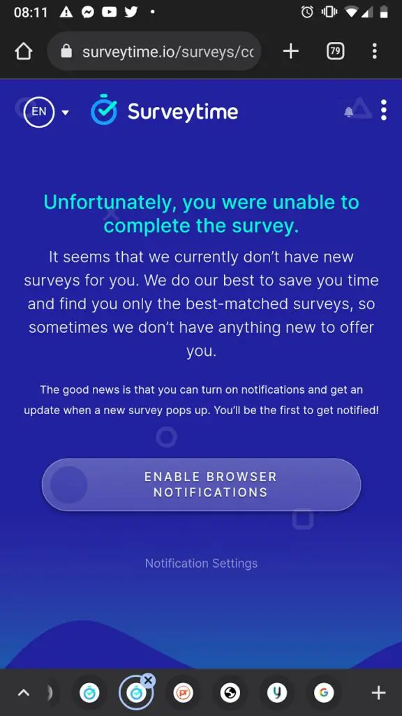 surveytime review